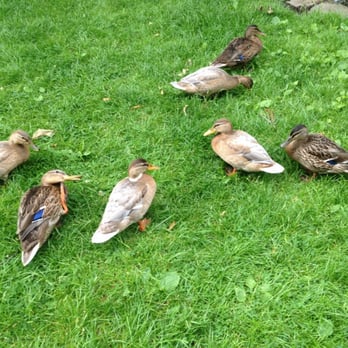Park am Ebertplatz - Parks Near Me - Cologne, NW