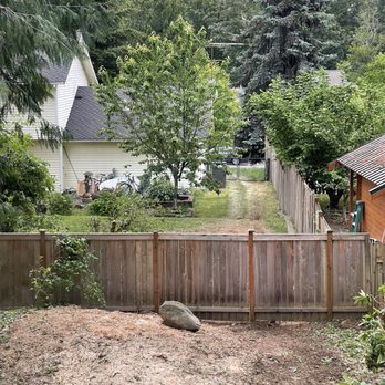 Western Washington Tree Service - All done! Like that 60-year-old tree was never there. - Tree Services Near Me - Duvall, Washington Western Washington Tree Service - All done! Like that 60-year-old tree was never there. - Tree Services Near Me - Duvall, Washington