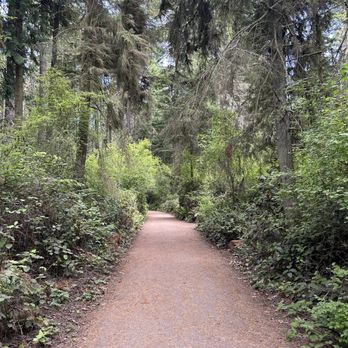 Dungeness Spit Trail - Hiking Near Me - Sequim, Washington
