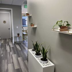Premier Family Care of Naples - Entry Walkway