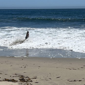 26th Street Beach - Fearless child - Beaches Near Me - Santa Cruz, California 26th Street Beach - Fearless child - Beaches Near Me - Santa Cruz, California