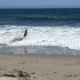Photo of 26th Street Beach