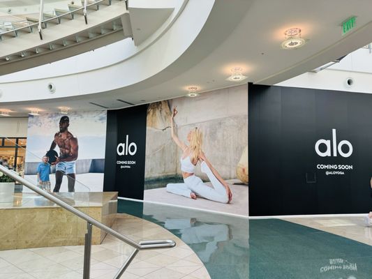 The Mall at Millenia by null