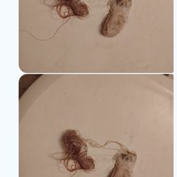 Elle Hair Design - Hair breakage