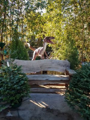 Whitfill Nursery by null