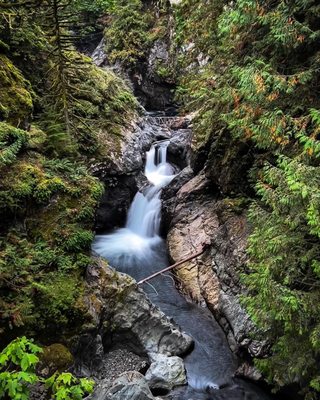 Twin Falls Natural Area by null