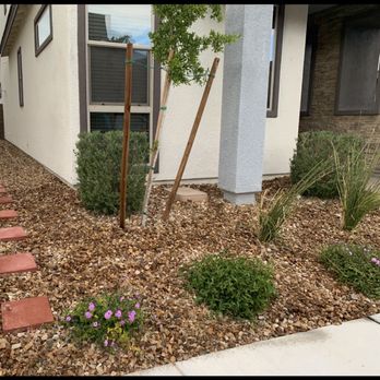 Arredondo Landscaping - Landscaping Near Me Arredondo Landscaping - Landscaping Near Me