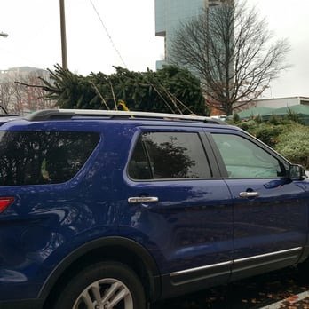 Almost Heavenly Christmas Trees - Just got another beautiful tree from Almost Heavenly Trees. Our third year getting a tree from these folks. - Christmas Trees Near Me - Washington, DC, District of Columbia Almost Heavenly Christmas Trees - Just got another beautiful tree from Almost Heavenly Trees. Our third year getting a tree from these folks. - Christmas Trees Near Me - Washington, DC, District of Columbia