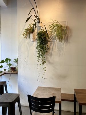 Plowshares Coffee Bloomingdale by null