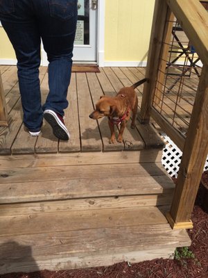 Photo of Moose & Goose Winery - Temple, TX, US. Greeter