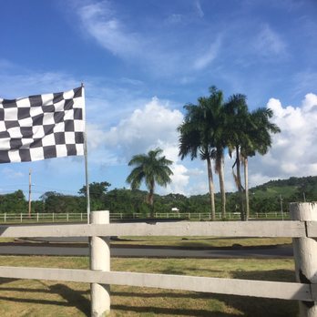 Carabali Rainforest Park - Go carts!! - Horseback Riding Near Me - Luquillo, Puerto Rico