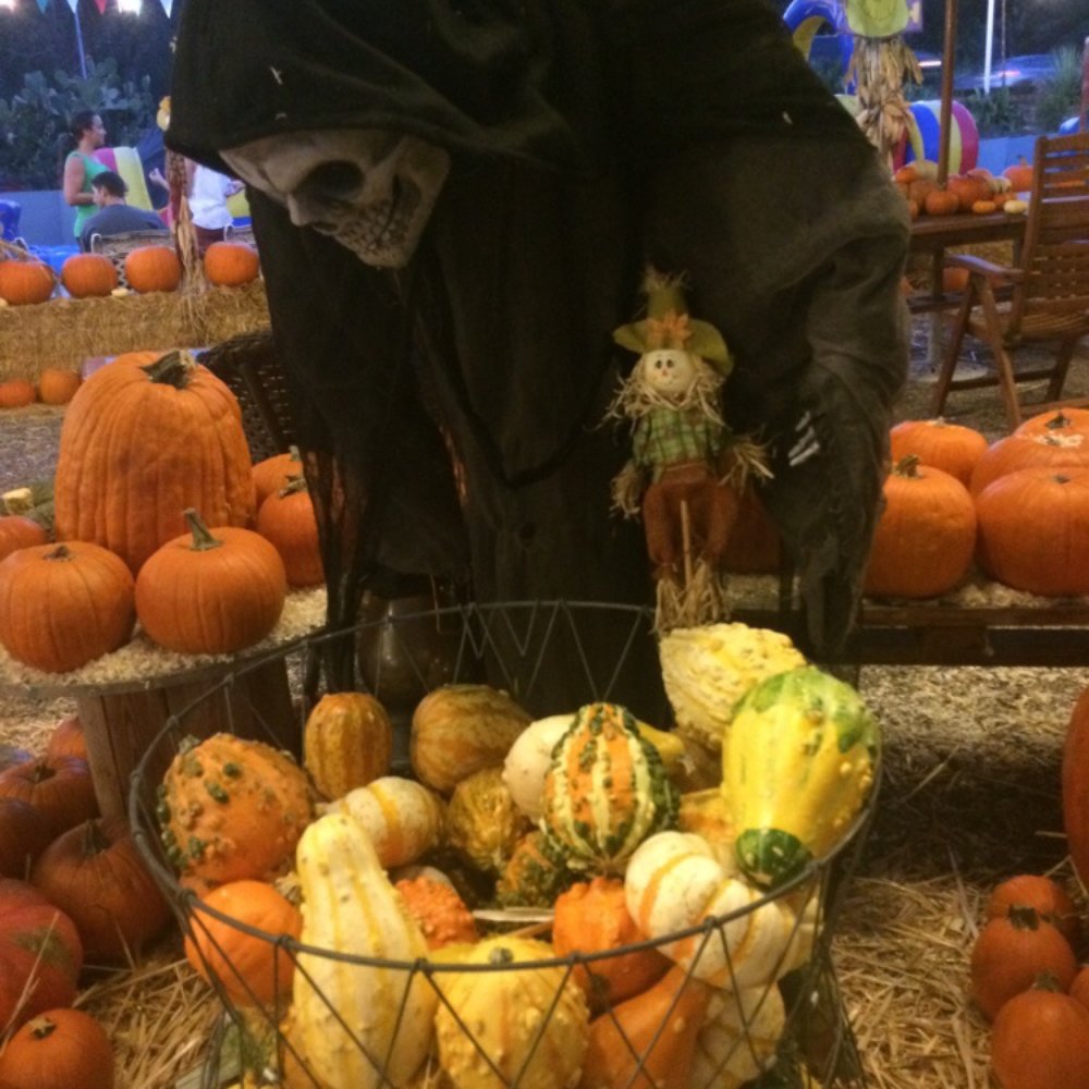 Waynes World of Trees & Pumpkin Patch - Venues & Event Spaces Near Me - Encinitas, California Waynes World of Trees & Pumpkin Patch - Venues & Event Spaces Near Me - Encinitas, California