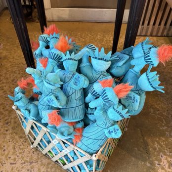 Zoomies - Pet Stores Near Me - New York, New York