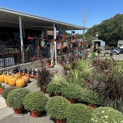 Burton Farms General Store - Fall Offerings