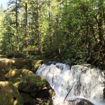 Whatcom Falls Park - Dog Parks Near Me - Bellingham, Washington