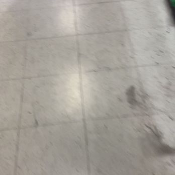 Dollar Tree - Are they trying to mop with $1 mop? - Discount Store Near Me - Saint George, Utah Dollar Tree - Are they trying to mop with $1 mop? - Discount Store Near Me - Saint George, Utah