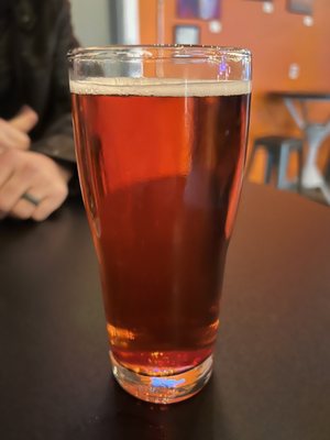 Jellyfish Brewing Company - Georgetown by null