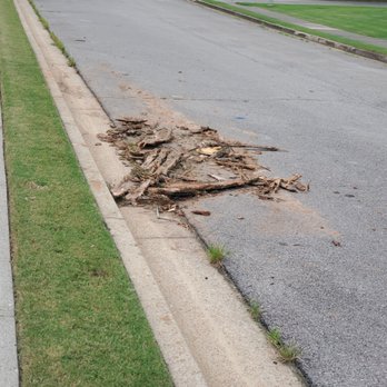 Cowboy Tree Care - Tree Services Near Me Cowboy Tree Care - Tree Services Near Me