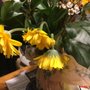 Photo of Mendham Flower Shop