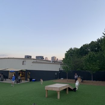 Tucker’s Tap Yard - Pretty skyline view from the yard - Dog Parks Near Me - Winston-Salem, North Carolina Tucker’s Tap Yard - Pretty skyline view from the yard - Dog Parks Near Me - Winston-Salem, North Carolina