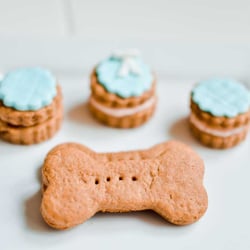 Bone Jour Photography - Bone Jour Gourmet Dog Treats