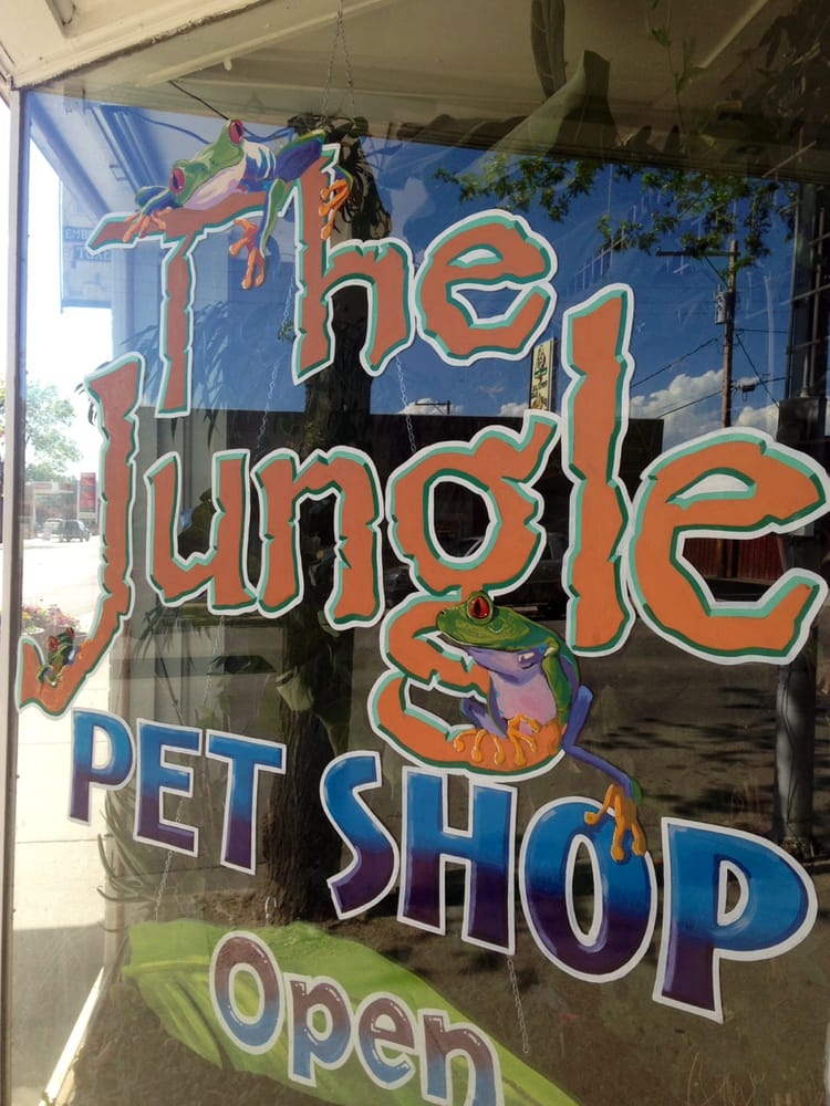 THE JUNGLE PET SHOP Updated October 2024 29 W Victory Way, Craig