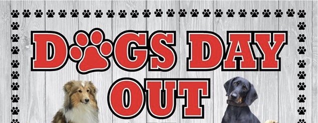 Dogs Day Out - social services organization in Chandler, AZ