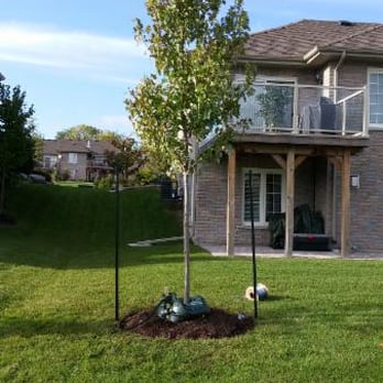 Logan Tree Experts - Tree Services Near Me Logan Tree Experts - Tree Services Near Me