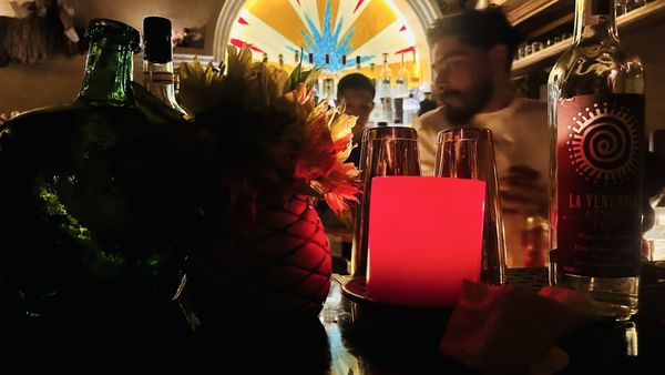 El Gallo Altanero by null