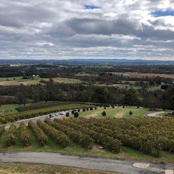Bluemont Vineyard - Venues & Event Spaces Near Me - Bluemont, Virginia Bluemont Vineyard - Venues & Event Spaces Near Me - Bluemont, Virginia