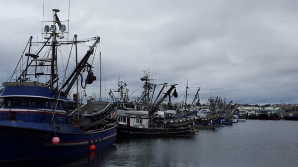 Fishermen's Terminal by null