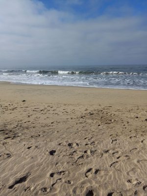 Dunes Beach by null