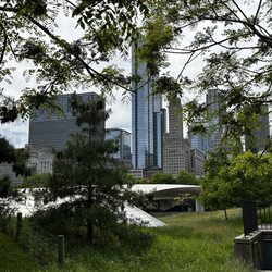 Absolutely Chicago Segway Tours