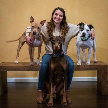 Blueprints Dog Training - Alyssa with her three dogs. Stella and Cardi are Pit Bull Type Mixes and Kylo is a Doberman. - Pet Training Near Me Blueprints Dog Training - Alyssa with her three dogs. Stella and Cardi are Pit Bull Type Mixes and Kylo is a Doberman. - Pet Training Near Me
