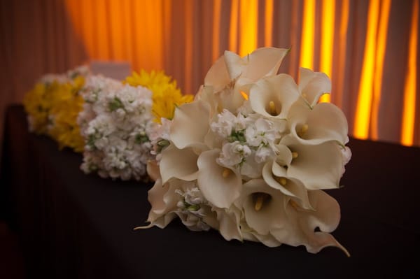 Adams & Son & Daughter Gardens by null