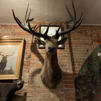 Buckhorn Exchange - I'm a big boy standing in my big boy stance...... - Steakhouses Near Me - Denver, Colorado