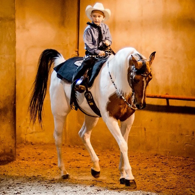 ROSE GATE FARM Updated July 2024 11995 Hilltop Rd, Argyle, Texas