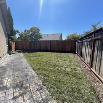 Pintail Landscaping - After Pintail Landscaping installed sod. - Landscaping Near Me Pintail Landscaping - After Pintail Landscaping installed sod. - Landscaping Near Me