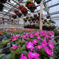 Family Tree Nursery - Colors aplenty!