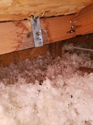 Carroll Bradford Roofing Logo