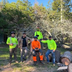 Califa Tree Care