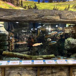 Exhibit