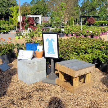 McDonald Garden Center - Nurseries & Gardening Near Me - Virginia Beach, Virginia McDonald Garden Center - Nurseries & Gardening Near Me - Virginia Beach, Virginia