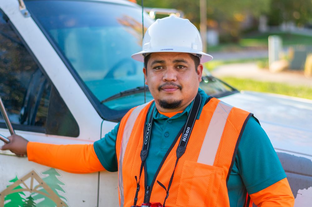 D AND B TREE SERVICES Updated September 2024 44 Photos Dayton