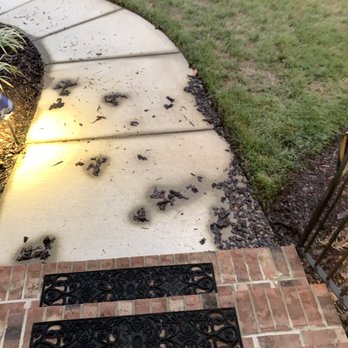 Landscape Solutions & Design - They returned on 9/24/19 and moved some mulch around and placed mulch in the edging. Still a mess. - Landscaping Near Me - Greensboro, North Carolina