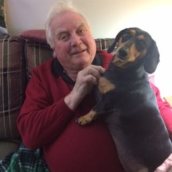 Littleland Kennels - loving HOLLY