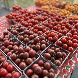 Olney Farmers and Artist Market - Cherry tomatoes