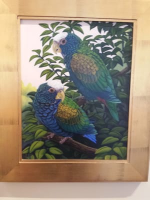 Audubon House & Tropical Gardens by null