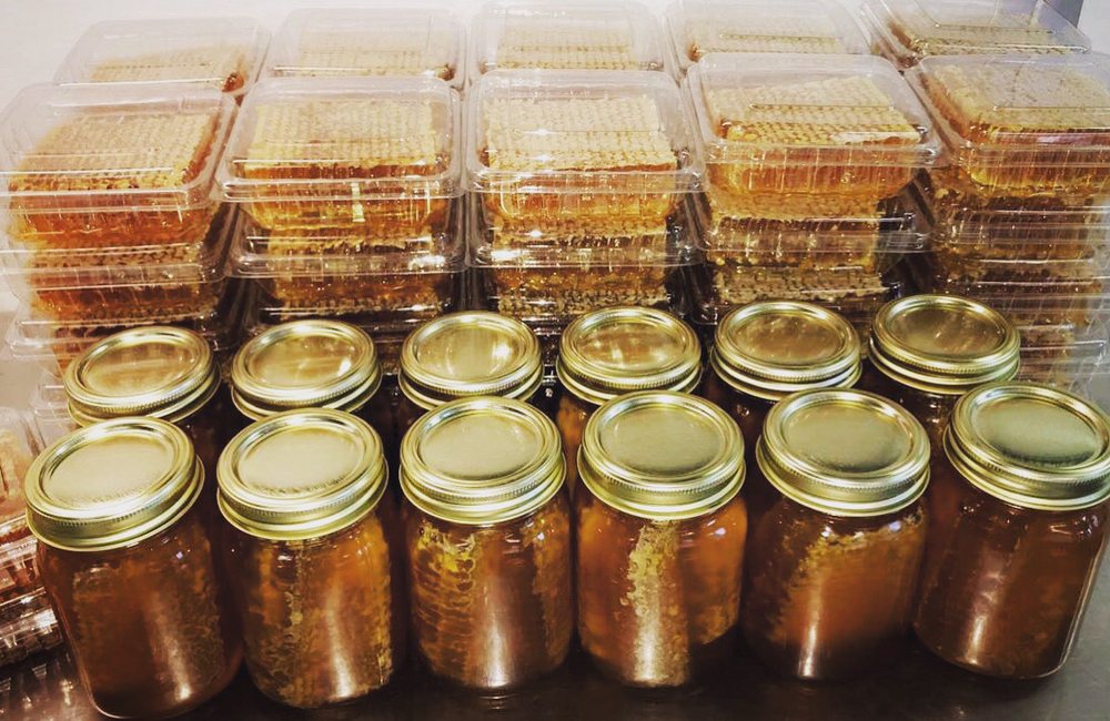 Bee Country - beekeeping in Darien, NY