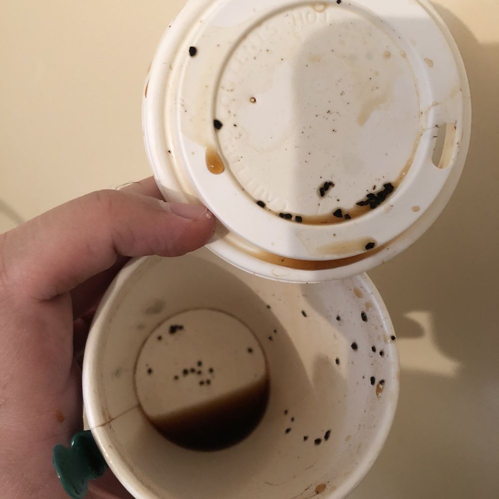 Starbucks - After dumping my coffee, this was what I found. A tall, hot red eye with no milk or sugar... but with a lot of roughly ground coffee beans! - Coffee & Tea Near Me - New York, New York Starbucks - After dumping my coffee, this was what I found. A tall, hot red eye with no milk or sugar... but with a lot of roughly ground coffee beans! - Coffee & Tea Near Me - New York, New York